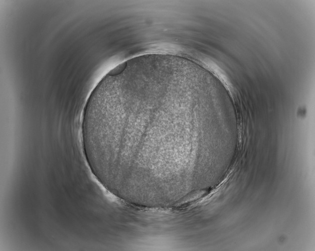 X0000098221103200805081152