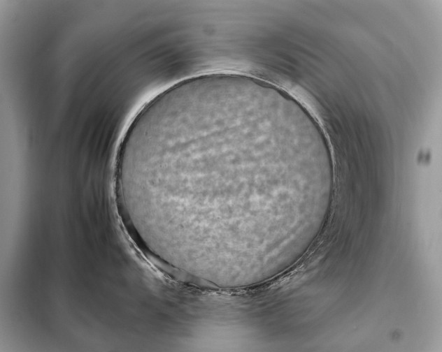 X0000098221104200805081152