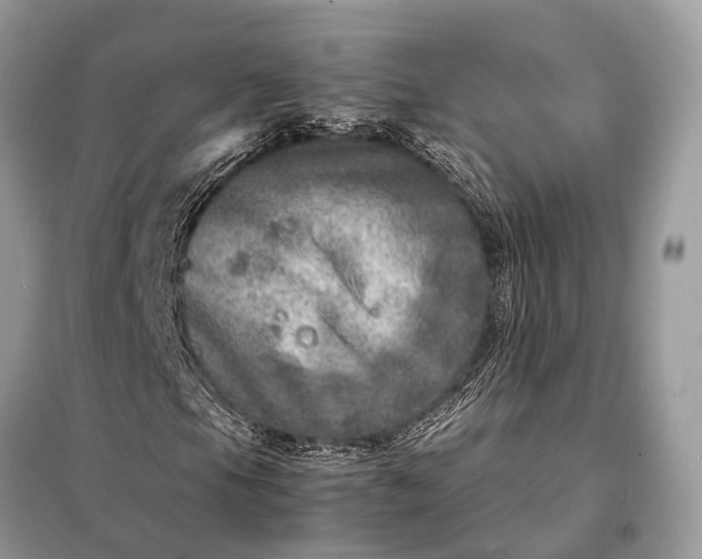 X0000098221105200805081151