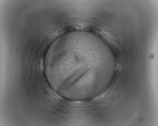 X0000098221106200805081151