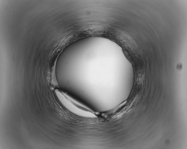 X0000098221108200805081151