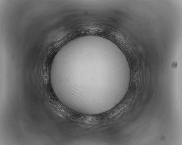 X0000098221109200805081151