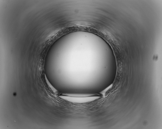 X0000098221110200805081151