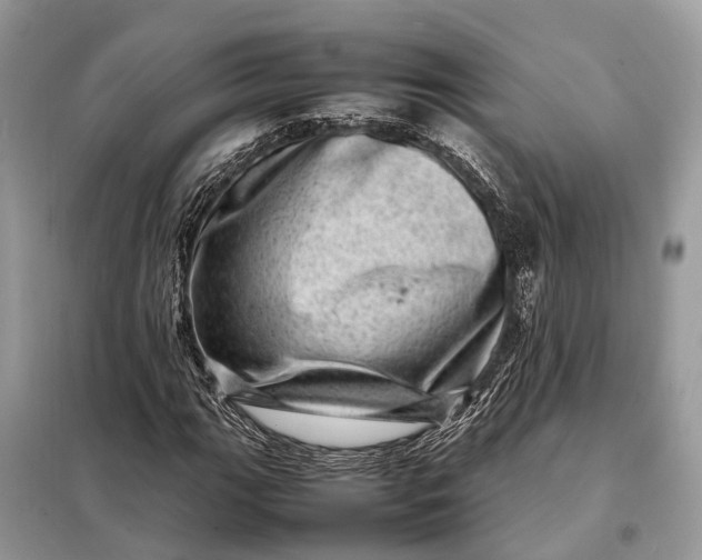 X0000098221111200805081151