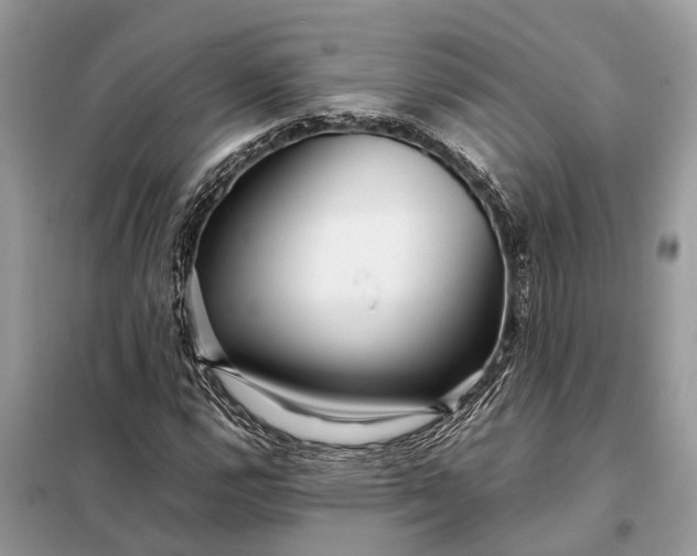 X0000098221112200805081151