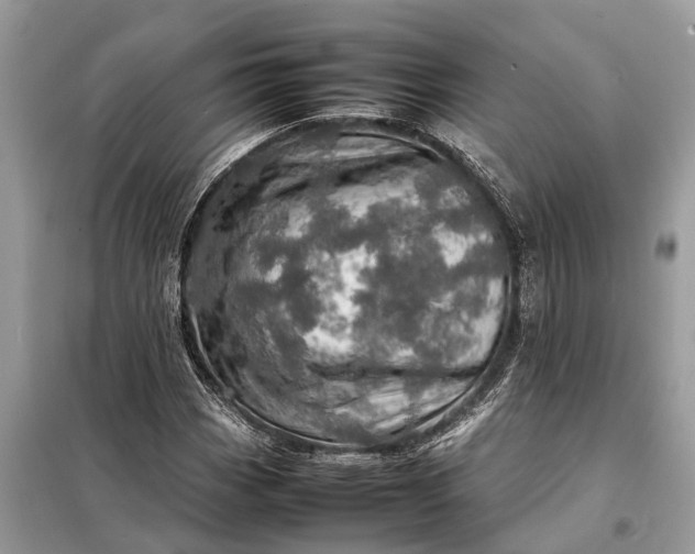 X0000098221113200805081151