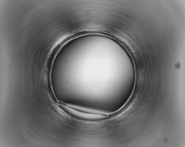 X0000098221114200805081152