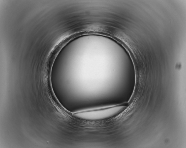 X0000098221115200805081152