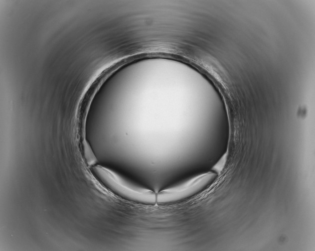 X0000098221116200805081152