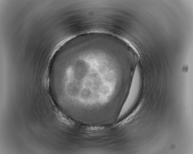 X0000098221117200805081152