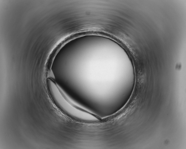 X0000098221118200805081152