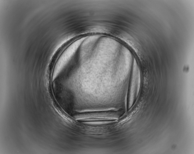 X0000098221119200805081152