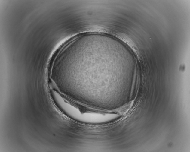 X0000098221120200805081152