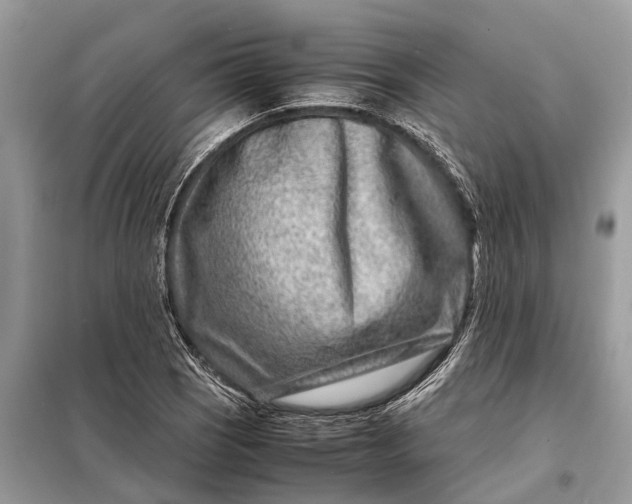 X0000098221121200805081152