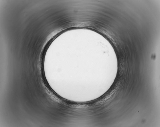 X0000098221122200805081152