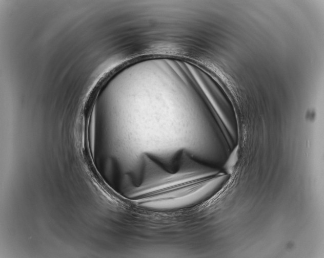 X0000098221123200805081152