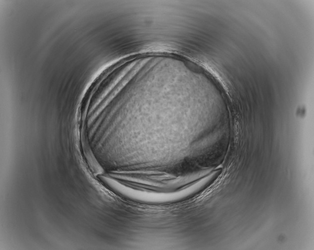 X0000098221124200805081152