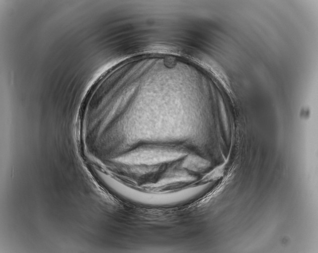 X0000098221125200805081152