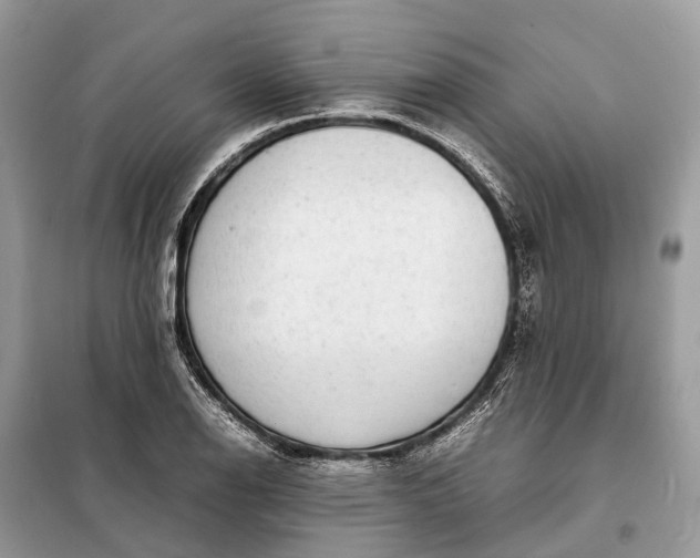 X0000098221126200805081152