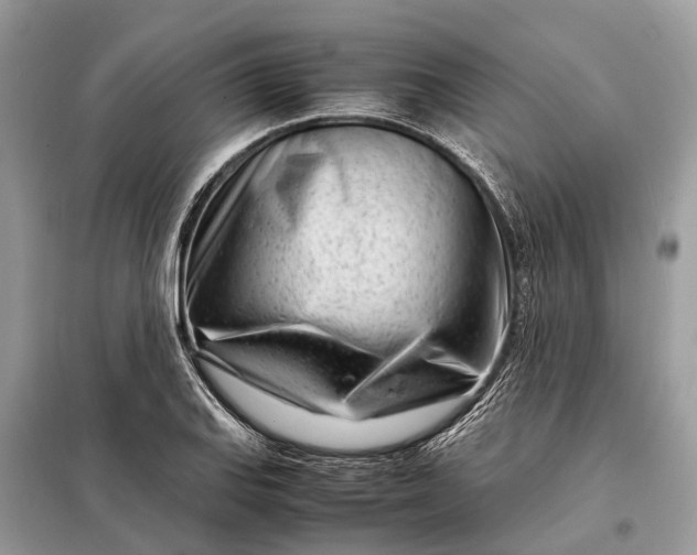 X0000098221127200805081152