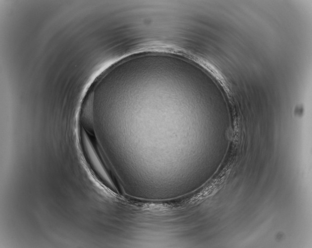 X0000098221128200805081152