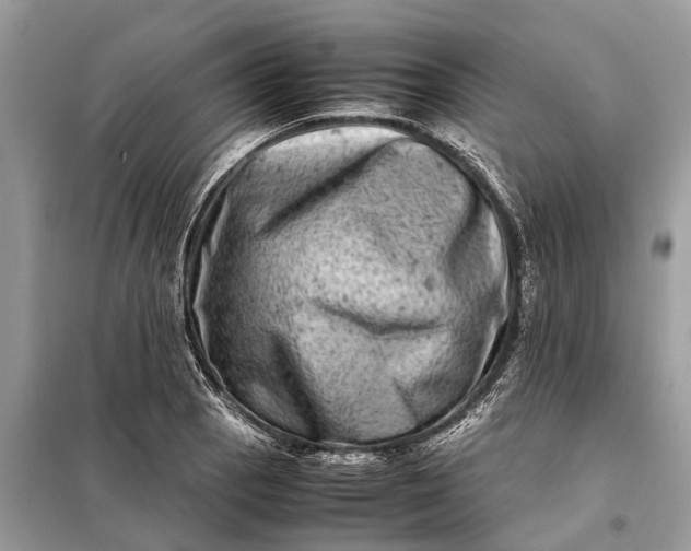 X0000098221129200805081152