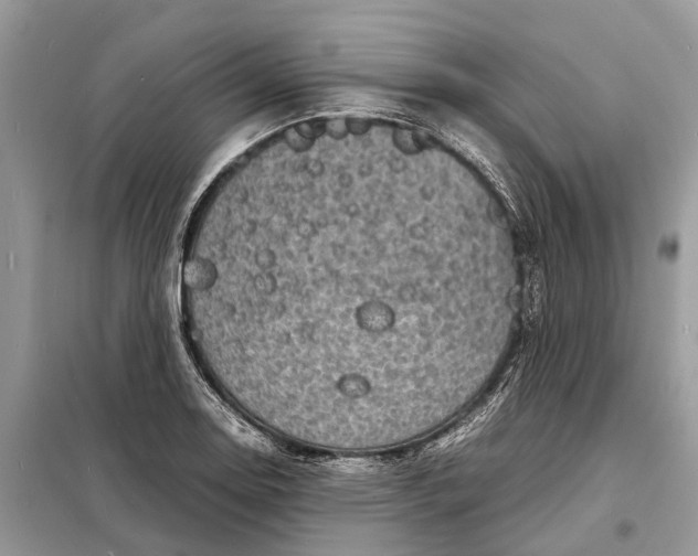 X0000098221130200805081152