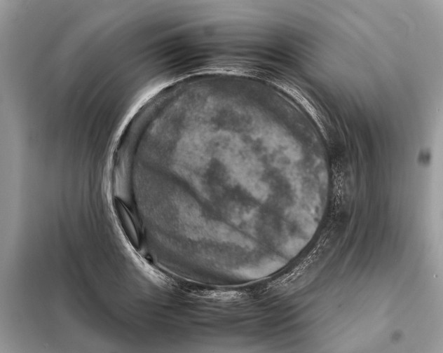 X0000098221131200805081152