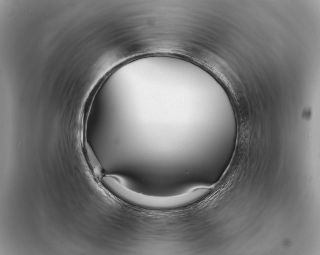 X0000098221132200805081152