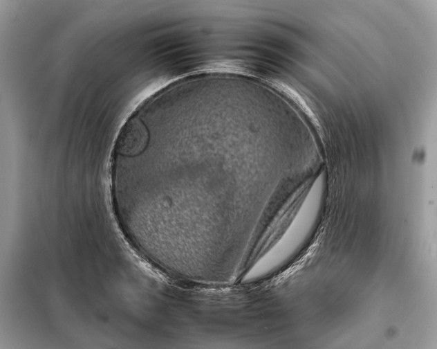 X0000098221133200805081152