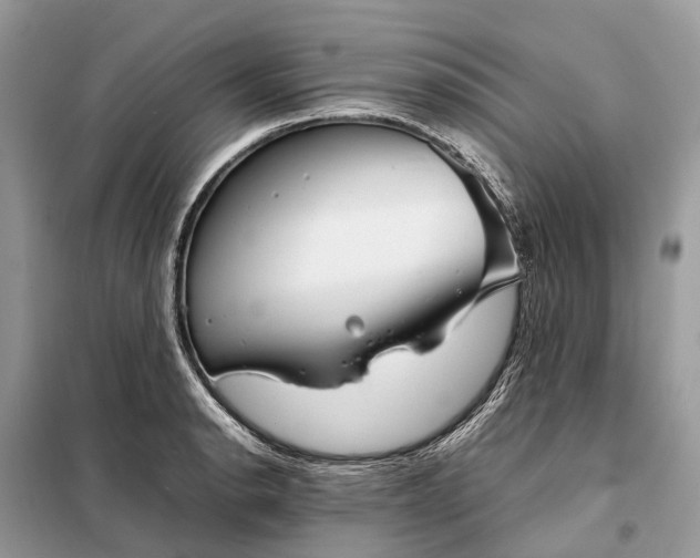 X0000098221134200805081152