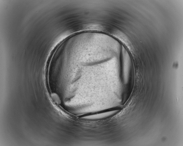 X0000098221135200805081152