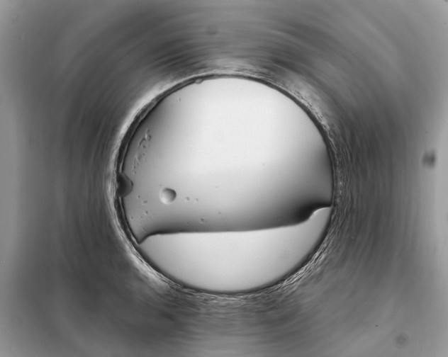 X0000098221136200805081152