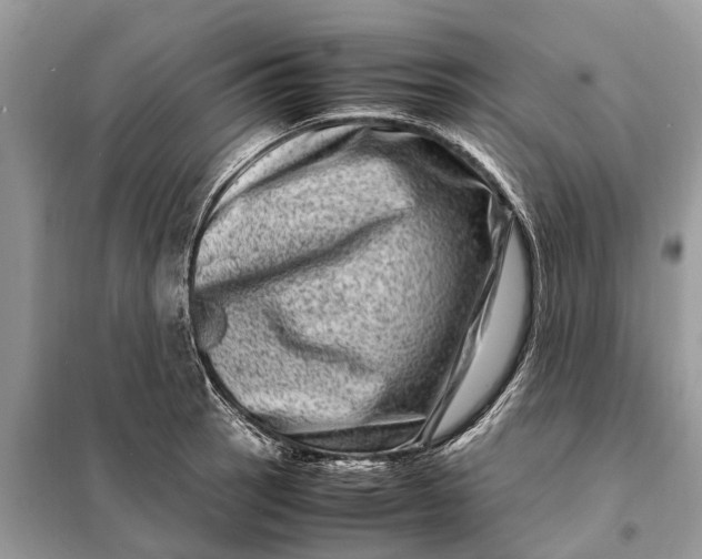 X0000098221137200805081152