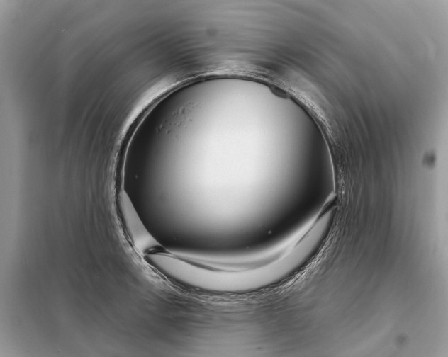 X0000098221138200805081152