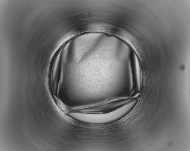 X0000098221139200805081152