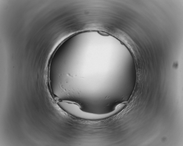 X0000098221140200805081152