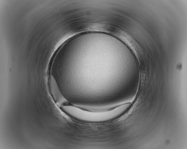 X0000098221141200805081152