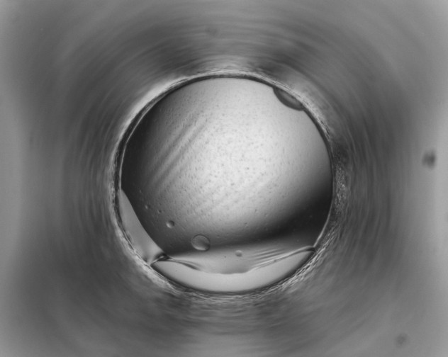 X0000098221142200805081152