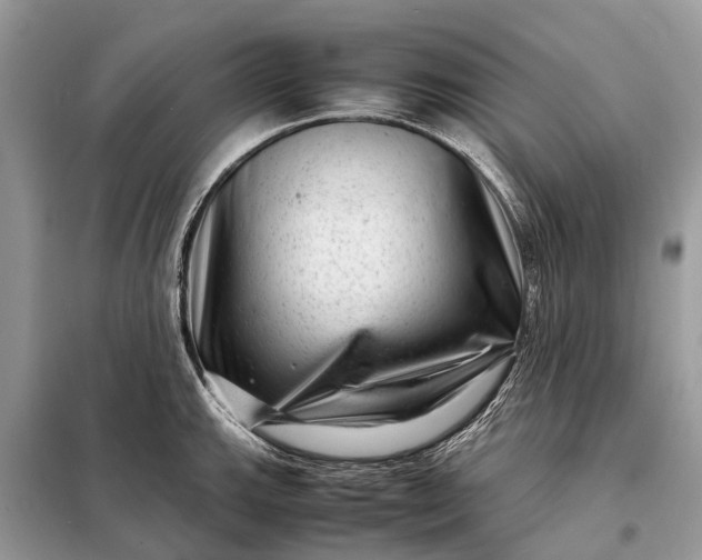 X0000098221143200805081152