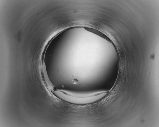 X0000098221144200805081152