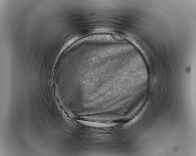 X0000098221145200805081152