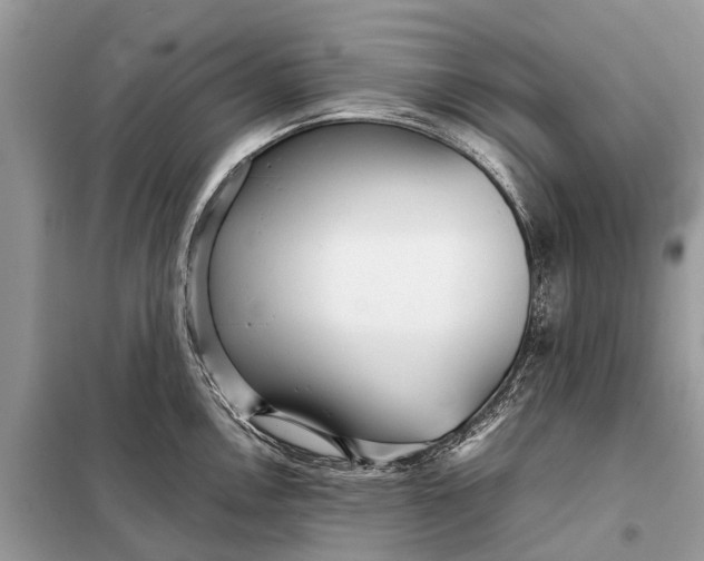 X0000098221146200805081152