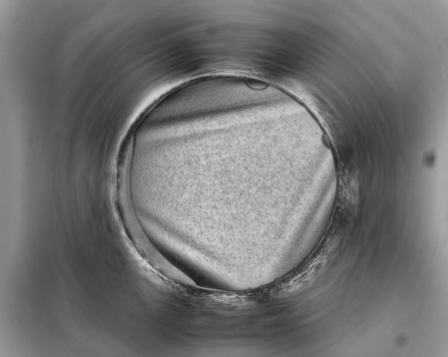 X0000098221147200805081152