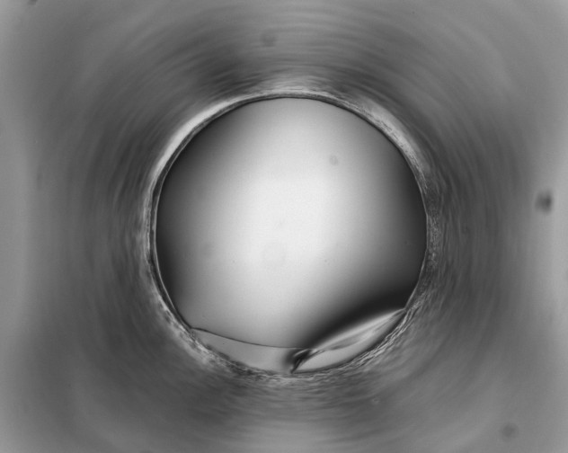 X0000098221148200805081152