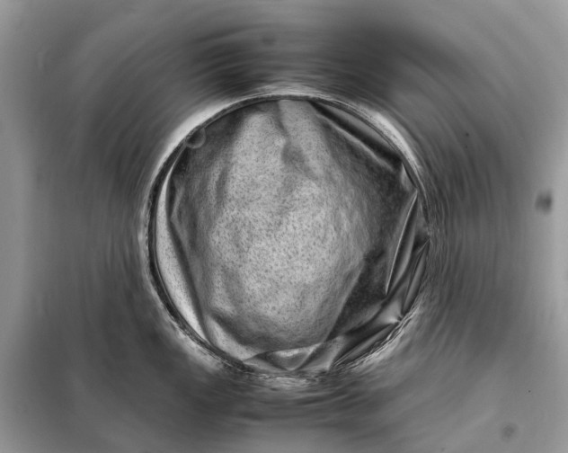 X0000098221149200805081152