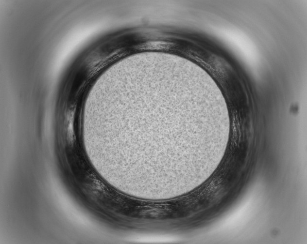 X0000098221150200805081152