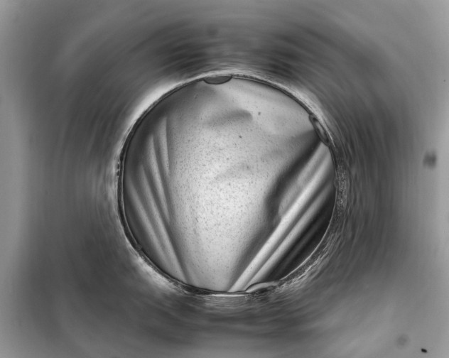 X0000098221151200805081152