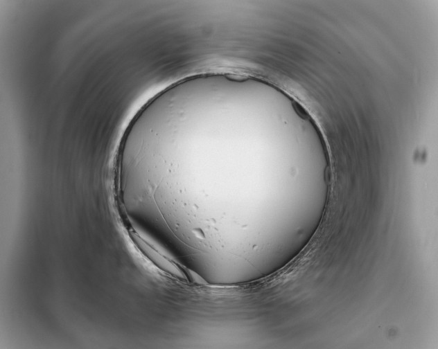 X0000098221152200805081152