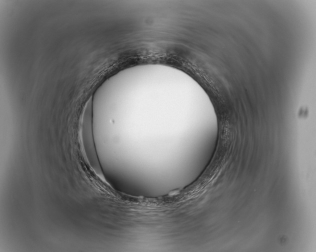 X0000098221153200805081151